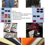 IMG 4597