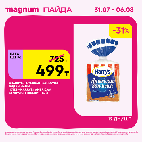 Magnum 1620x1620 1 tov 2025 07 29T150002.564.png