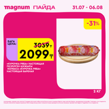 Magnum 1620x1620 1 tov 2025 07 29T150127.921