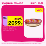 Magnum 1620x1620 1 tov 2025 07 29T150125.976