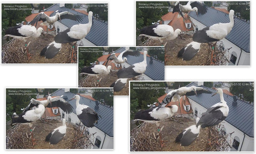 Bilder9.jpg