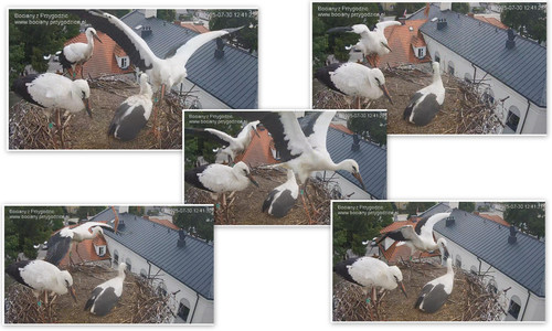 Bilder6.jpg