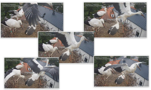 Bilder7.jpg