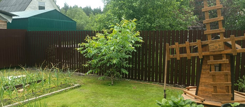 IMG 20250703 WA0004.jpg