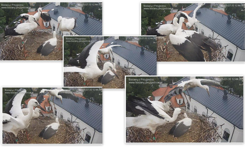 Bilder10.jpg