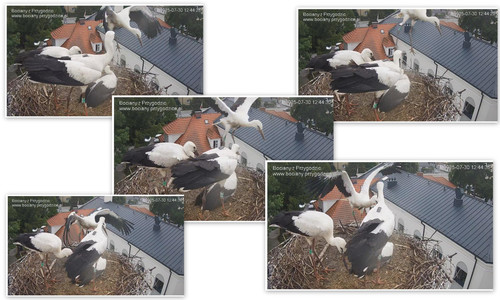 Bilder11.jpg