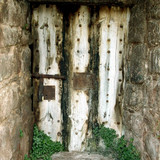 MINOLTA DIGITAL CAMERA