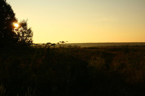 IMG 2680a1.jpg