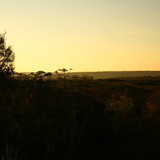 IMG 2680a1