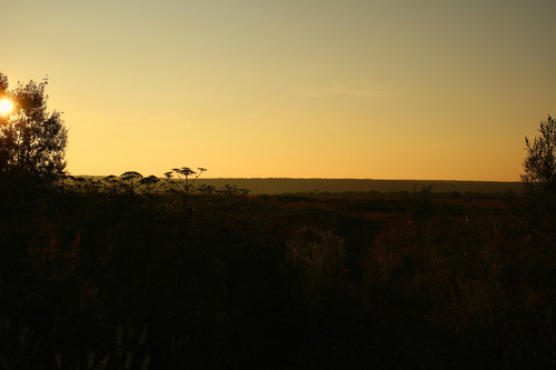 IMG 2683a1.jpg