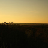 IMG 2683a1