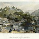 Oil painting Photos 0386