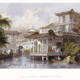 Oil painting Photos 0379