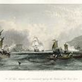 Oil painting Photos 0384