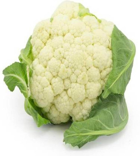 70 cauliflower seeds premier pla.jpg