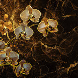 A close-up shot of a single flower on a dark, matte background.