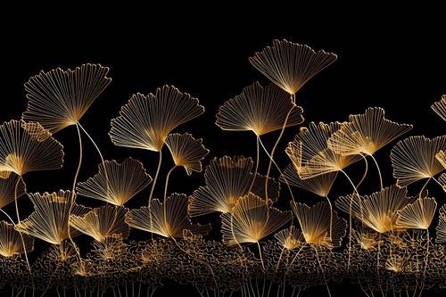 f97cf3bf ea03 4f28 8631 69b47e4544ba.jpg