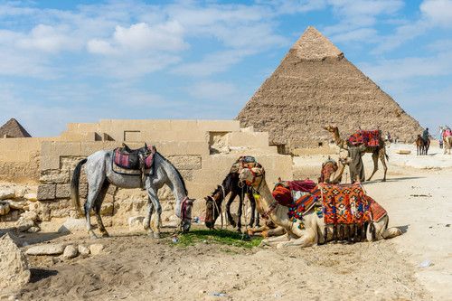 UMINDS Old photos38.jpg