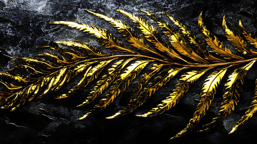 there is a gold leaf on a black background.jpg