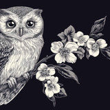 Black and white illustration of an owl perched on a branch with flowers around.