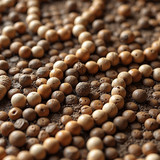 envato labs ai f17ee368 ce41 411a ace2 1b68fcbe7731