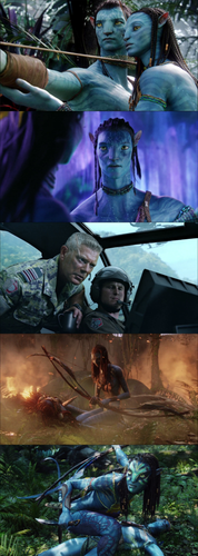 InCollage 20250730 174133322.png