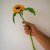 059