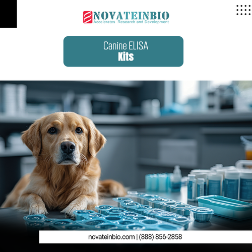 canine elisa kit.png