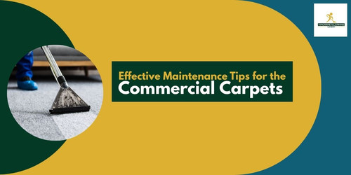 Effective Maintenance Tips for the Commercial Carpets.jpg