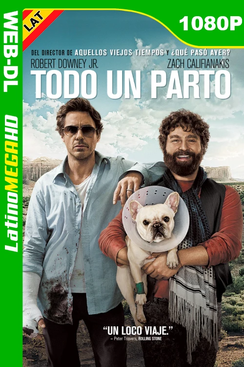 Todo un parto (2010) Latino HD AMZN WEB-DL 1080P
