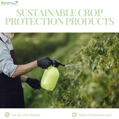 Protect Your Crops the Smarter Way with Sustainable Solutions.png
