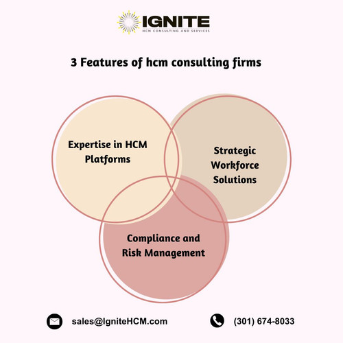 3 Features of hcm consulting firms.jpg