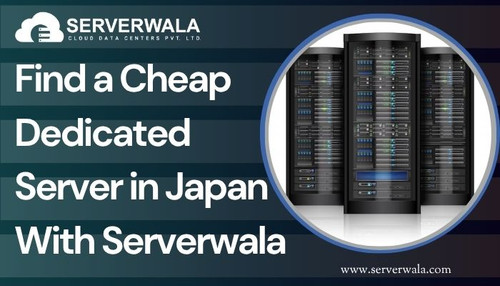 Find a Cheap Dedicated Server in Japan With Serverwala.jpg