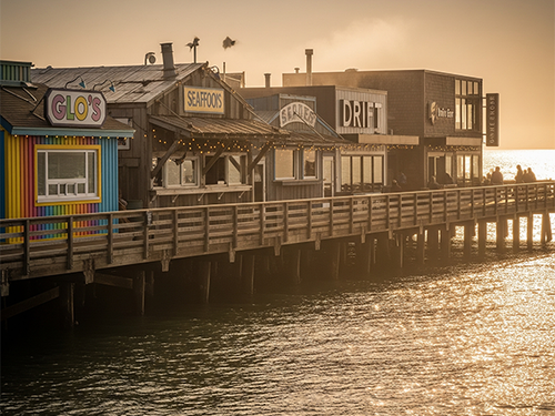 pier 1.png