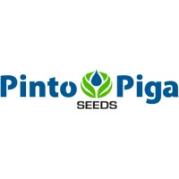 Logo Cliente 1