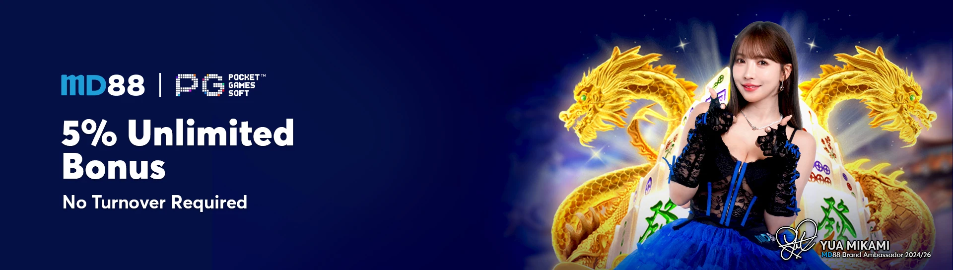banner