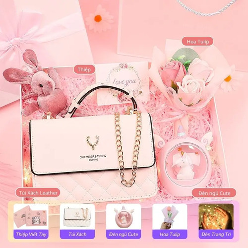 Product Introduction of Quà Tặng Bạn Gái Túi Xách Nữ IV Pink Leather Túi Xách Đeo Chéo, Đeo Vai Nữ X.jpg