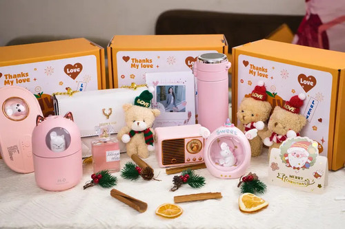Product Introduction of Quà Tặng Bạn Gái Túi Xách Nữ IV Pink Leather Túi Xách Đeo Chéo, Đeo Vai Nữ X.jpg
