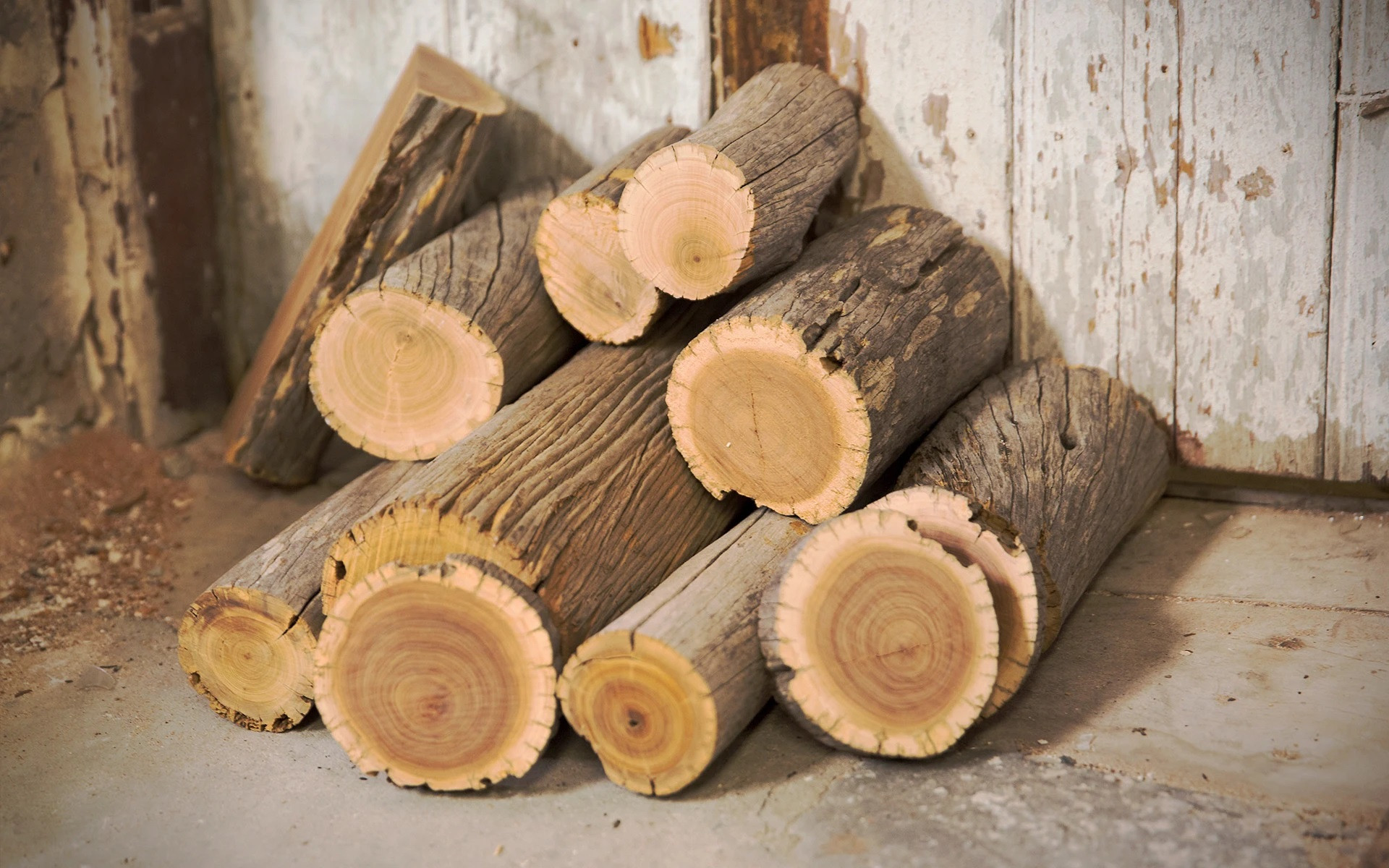 Kayu Cendana