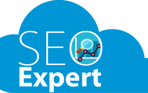 Work with the Leading SEO Expert in Mohali Today.2