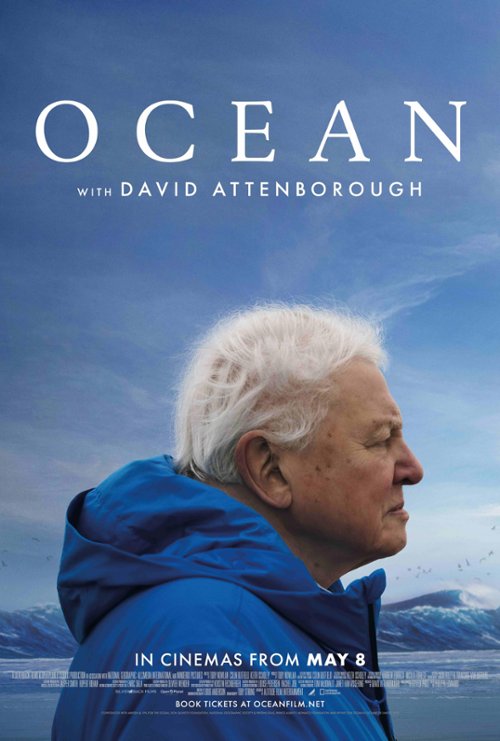 David Attenborough: Świat oceanów / Ocean with David Attenborough (2025) MULTi.1080p.DSNP.WEB-DL.H.264-DSiTE / Lektor i Napisy PL