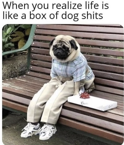 Screenshot 2025 06 25 at 8.59.40 AM.png