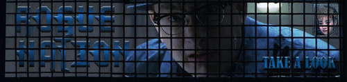 TLook Banner.jpg