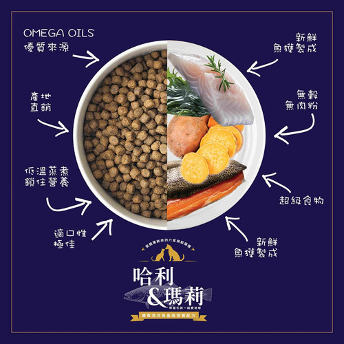 image WH 1200x1200px (41).jpg