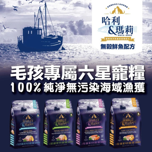 image WH 1200x1200px (40).jpg