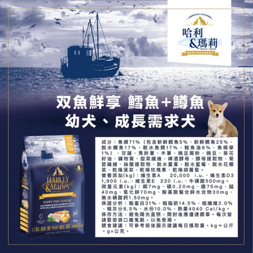 image WH 1200x1200px (38).jpg