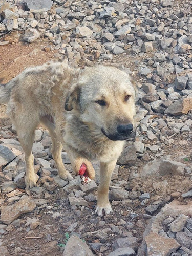 E9bi5QMFOFyJgFLQiPwHM1f3jNxxTU XqUTxoJriezruy4hnyx b33Mzlz4GzDSh CyK2CIj8tpAkeU7pxM9ExptTPd801YJKAf .jpg