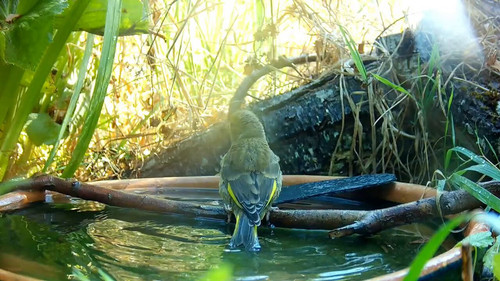 m4Fqrjf0MC uvnHp.jpg