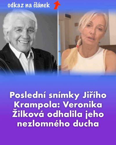 525910245 727836120033560 7789110270801014146 n (1).jpg