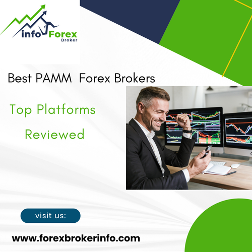 Best PAMM Forex Brokers – Top Platforms Reviewed.png